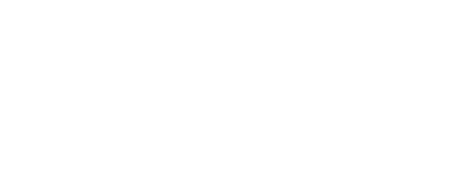 Emehome Roosevelt logo